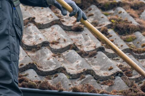 Doncaster Roof Moss Removal Experts