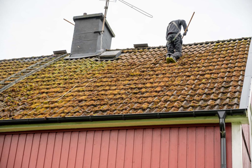 Roof moss removal Roof moss removal Doncaster